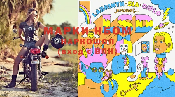 spice Горнозаводск