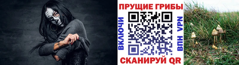 Псилоцибиновые грибы MAGIC MUSHROOMS Купить закладки Андреаполь